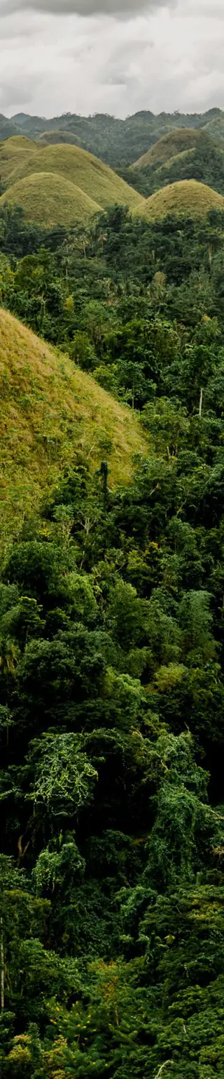 Zwischen den «Schokoladehügeln» auf Bohol